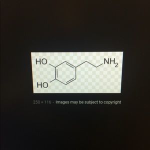 Meet your Posher, Eneida